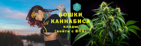 spice Алексин