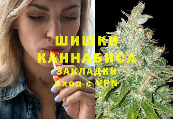 spice Алексин